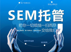 sem-全網